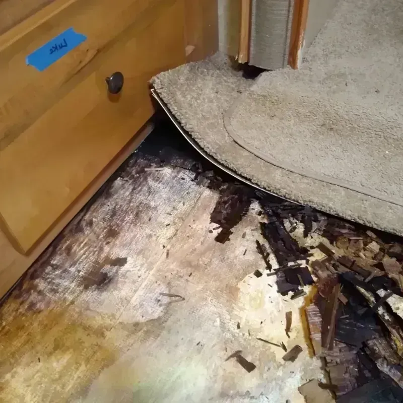 Wood Floor Water Damage in Sand Springs, OK